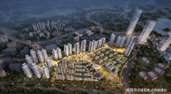 解答项目规划、购房政策等问题）咨